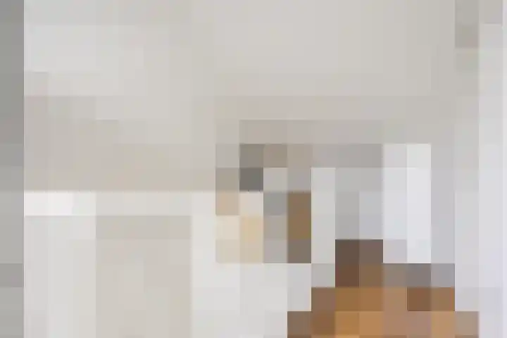 Ter Lijnden 8 Beek en Donk thumbnail 27