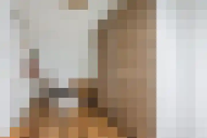 Ter Lijnden 8 Beek en Donk thumbnail 29
