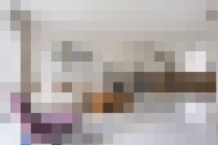 Ter Lijnden 8 Beek en Donk foto 3