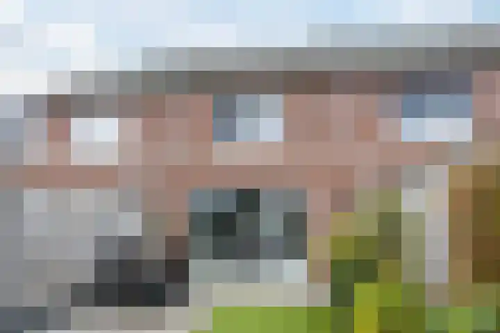 Ter Lijnden 8 Beek en Donk thumbnail 30