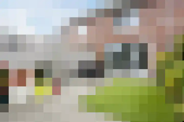 Ter Lijnden 8 Beek en Donk thumbnail 31