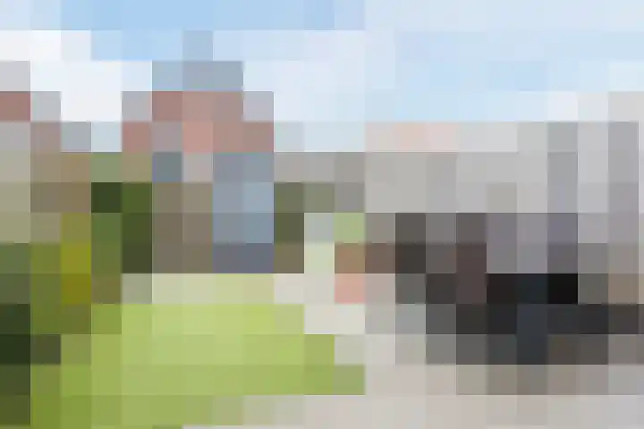 Ter Lijnden 8 Beek en Donk thumbnail 32