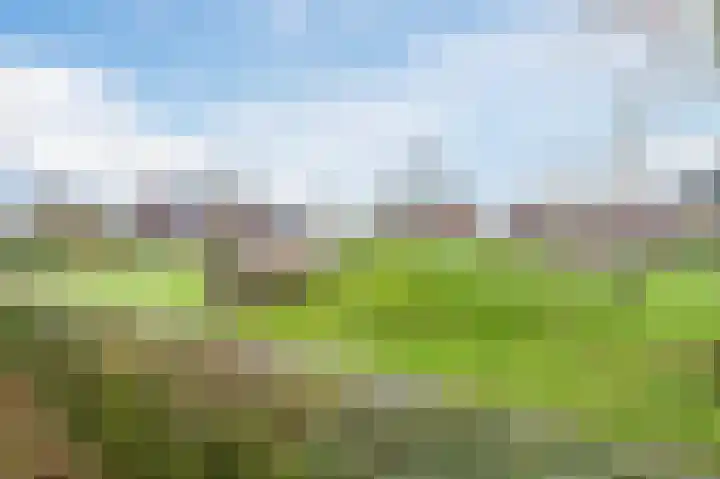 Ter Lijnden 8 Beek en Donk thumbnail 33