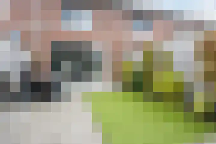 Ter Lijnden 8 Beek en Donk thumbnail 5