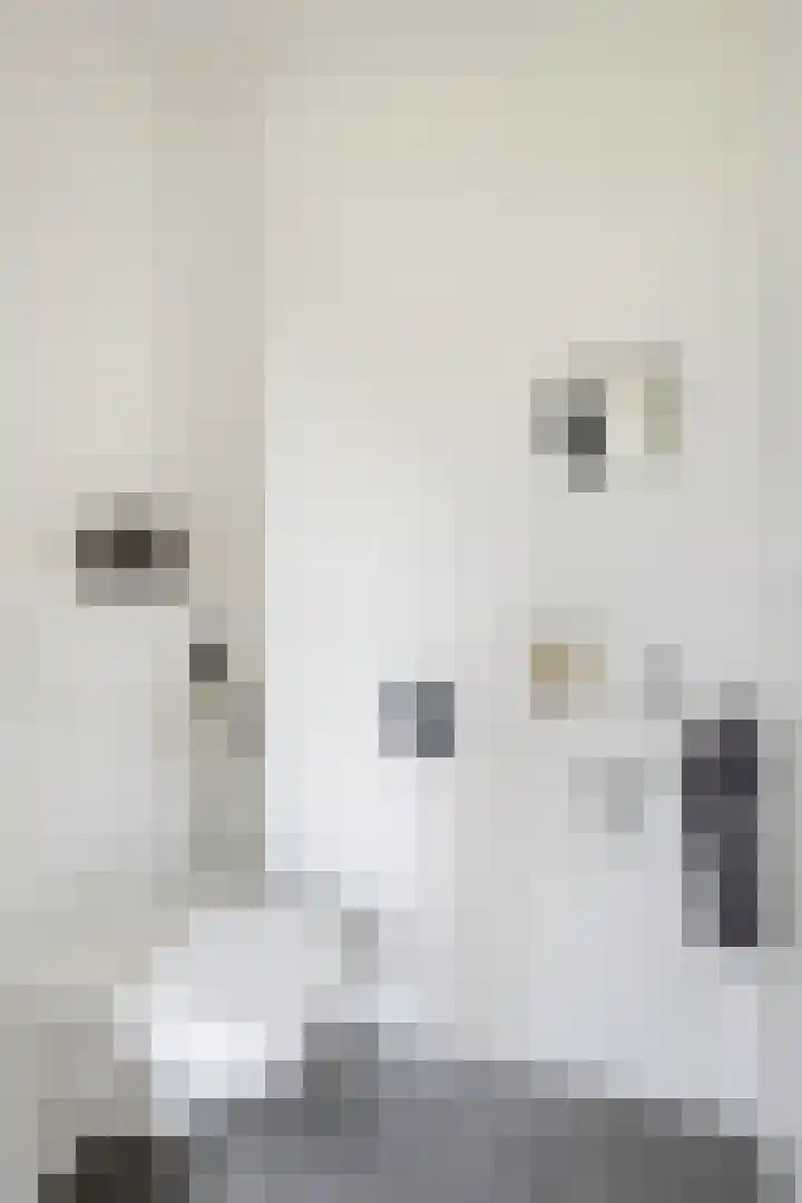 Ter Lijnden 8 Beek en Donk thumbnail 8