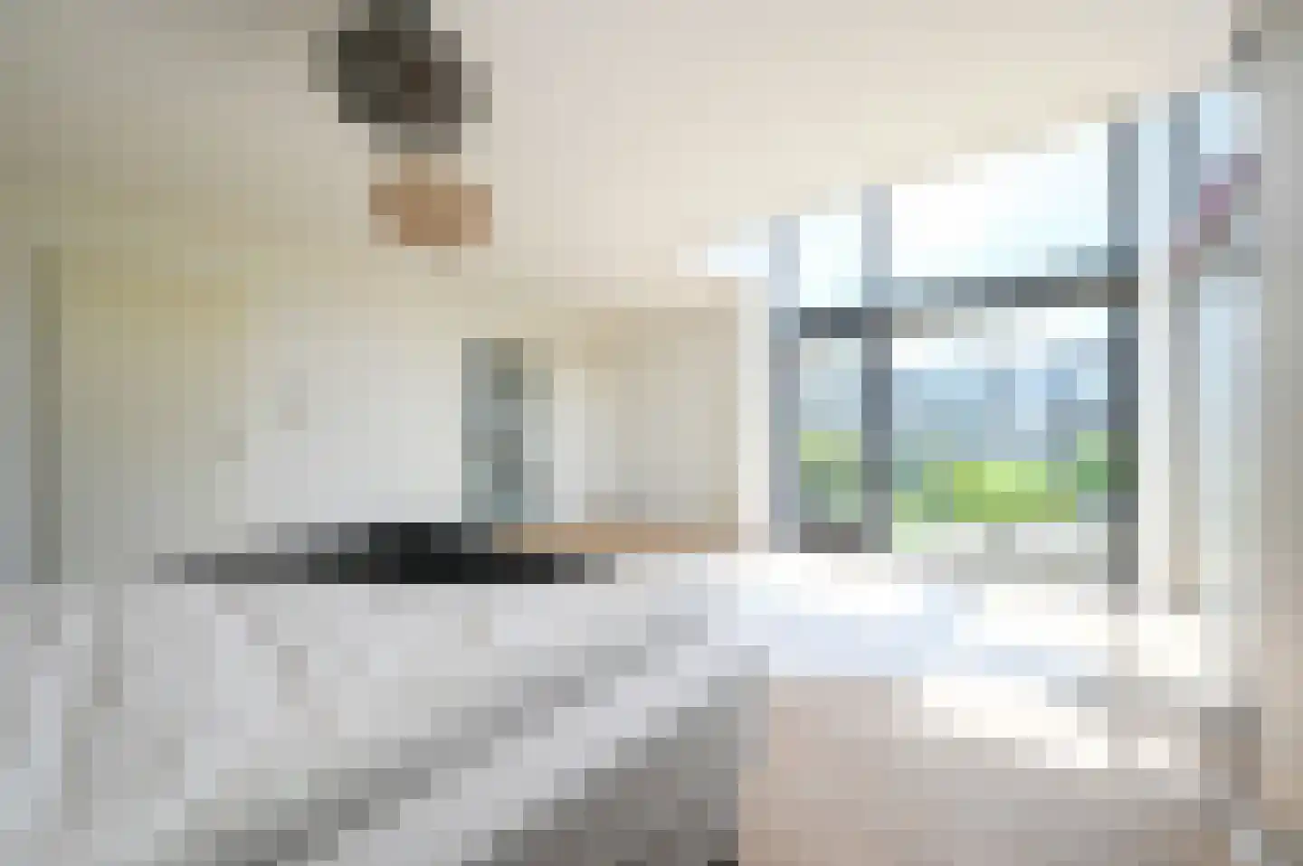 Ter Lips 105 Voorschoten thumbnail 21