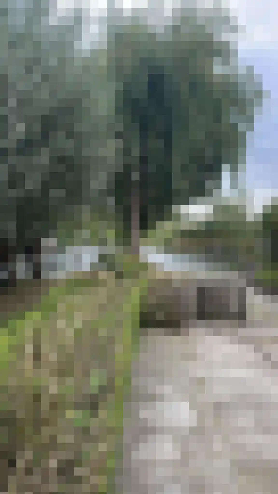 Ter Lips 105 Voorschoten thumbnail 44