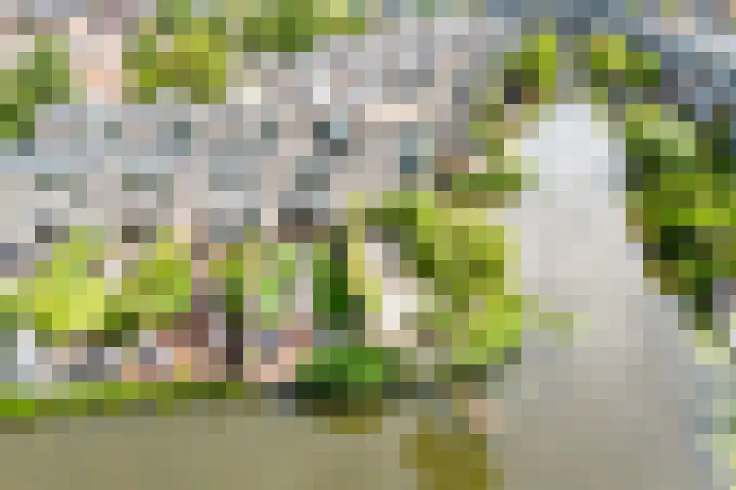 Ter Lips 105 Voorschoten thumbnail 49