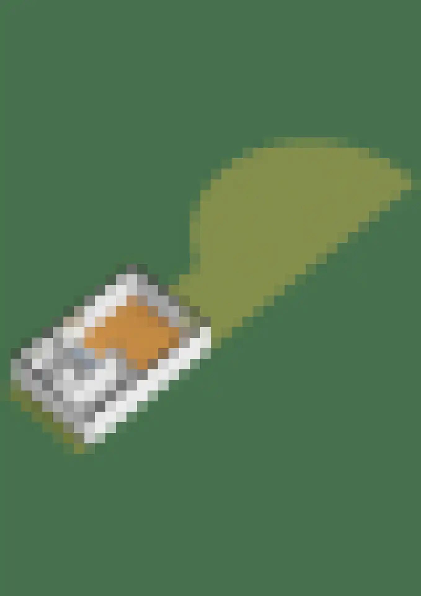 Ter Lips 105 Voorschoten thumbnail 58