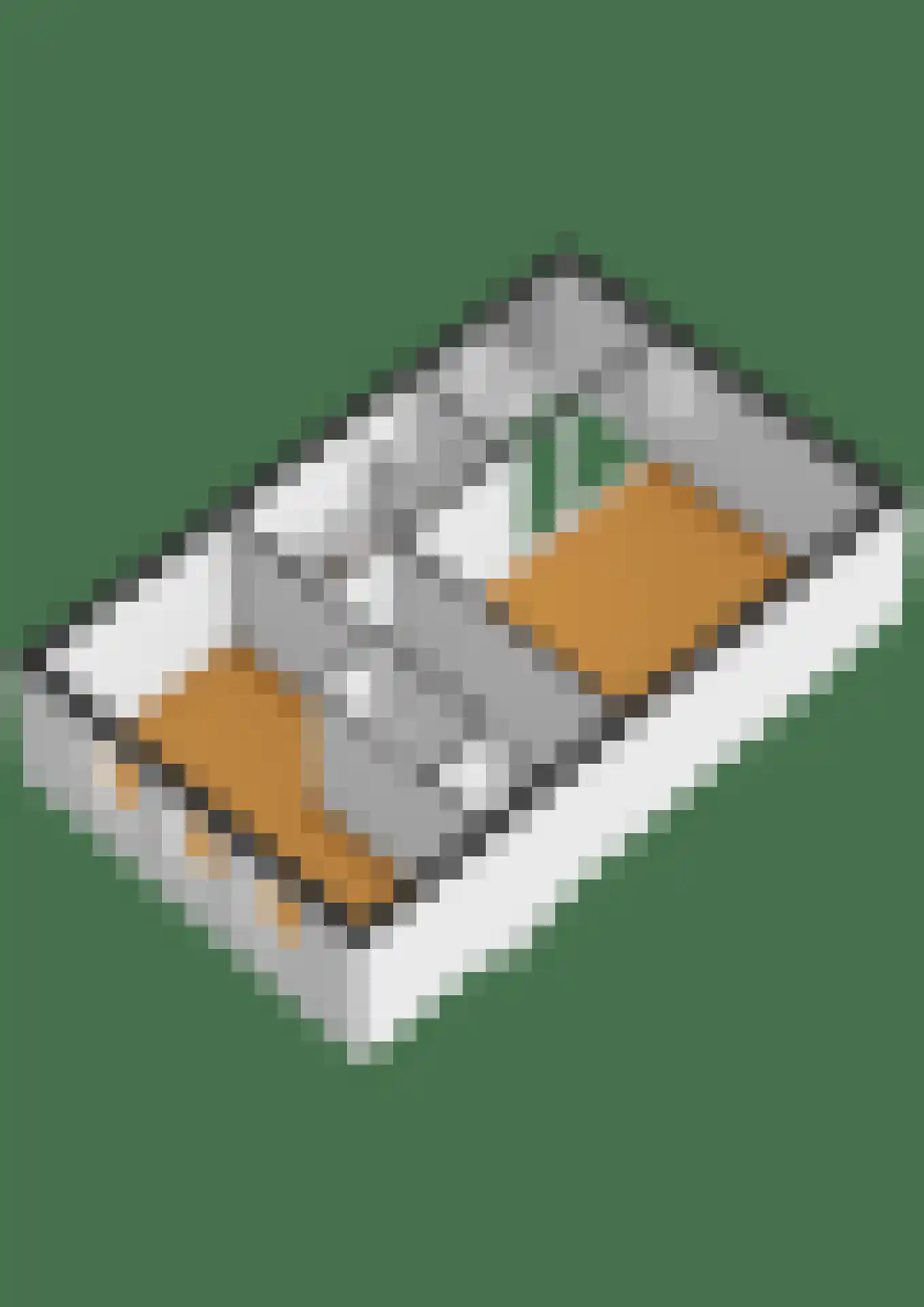 Ter Lips 105 Voorschoten thumbnail 60
