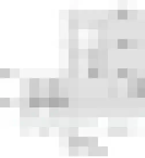 Ter Lips 105 Voorschoten thumbnail 64