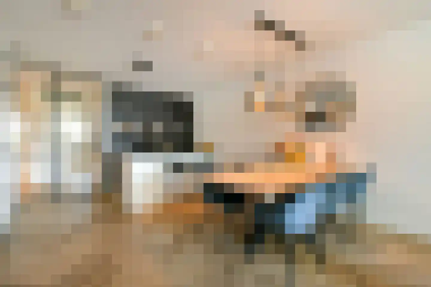 Ter Lips 17 Voorschoten thumbnail 10