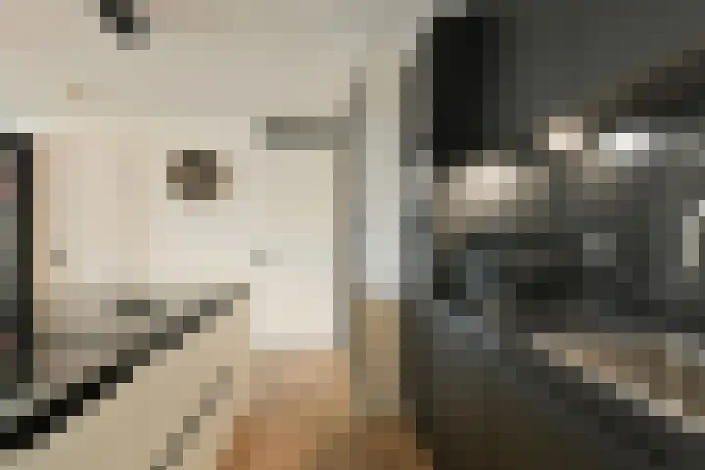 Ter Lips 17 Voorschoten thumbnail 12