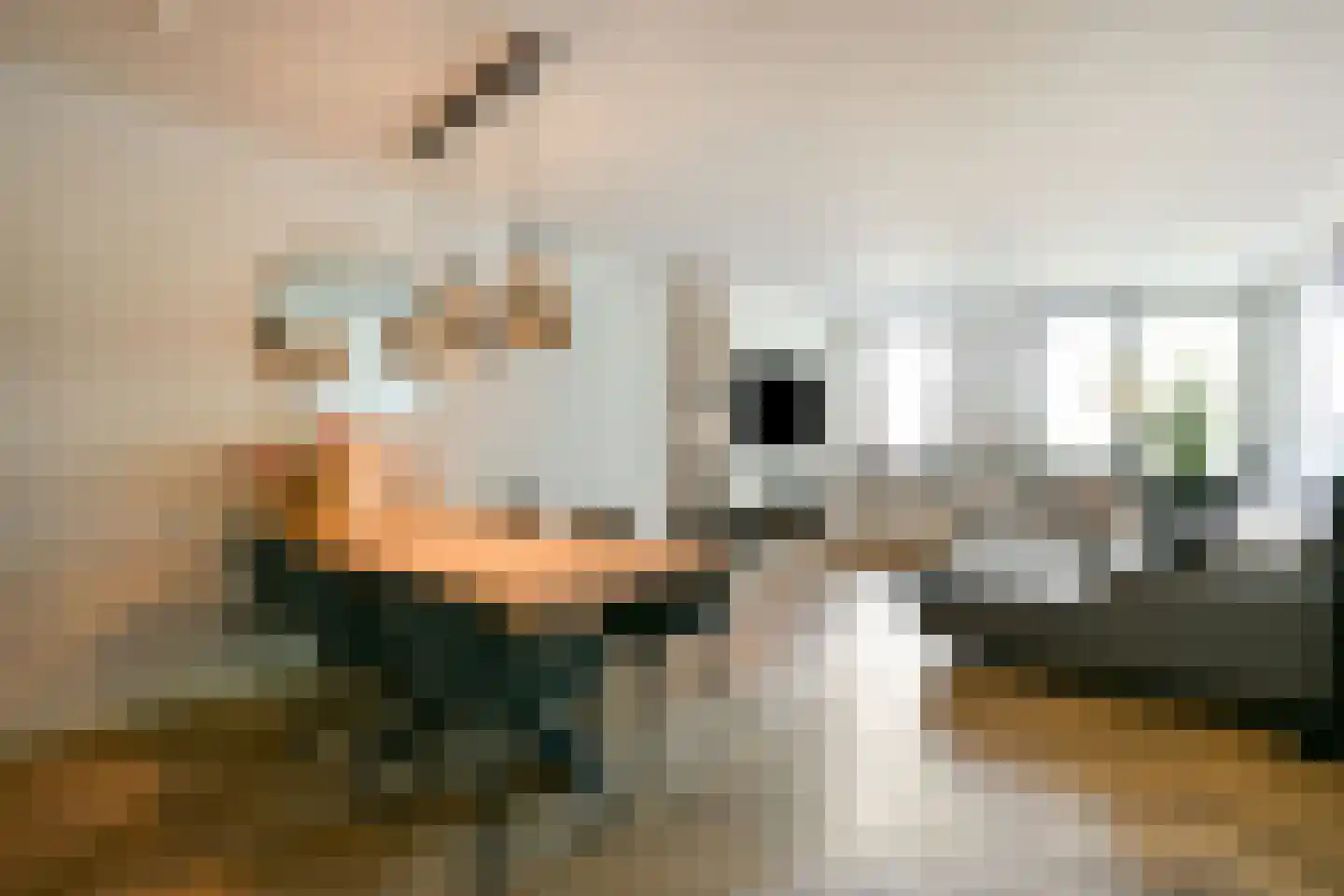 Ter Lips 17 Voorschoten thumbnail 14