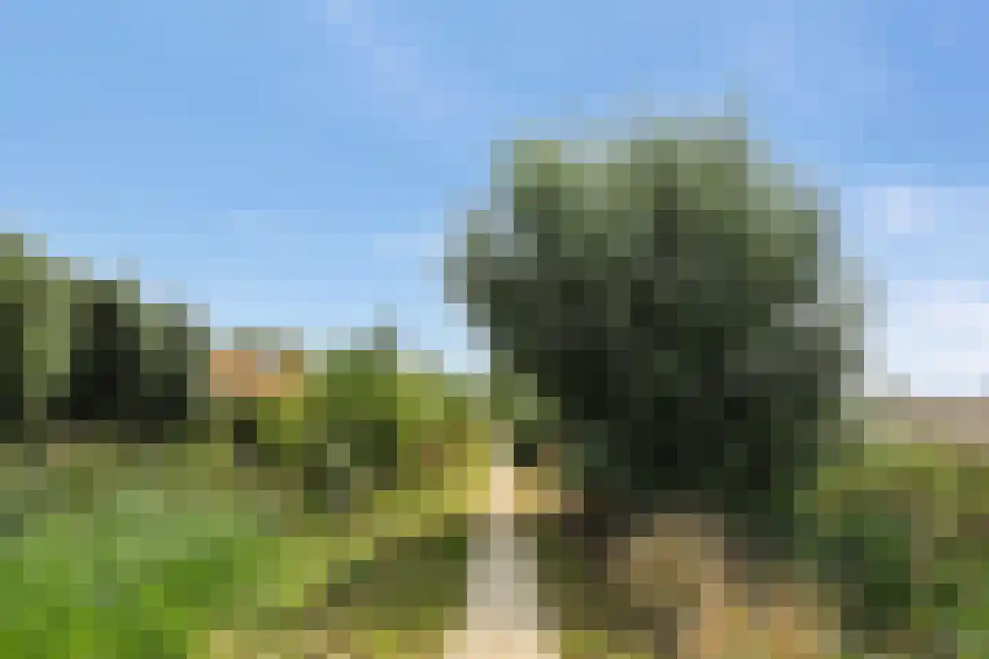 Ter Lips 17 Voorschoten thumbnail 24