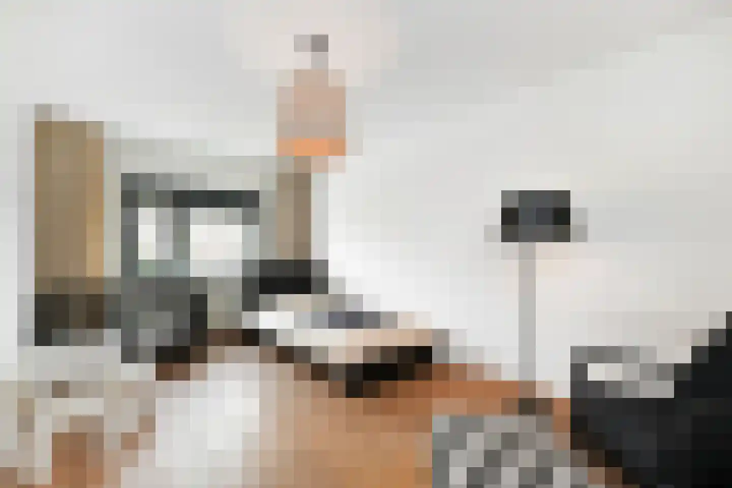 Ter Lips 50 Voorschoten thumbnail 18