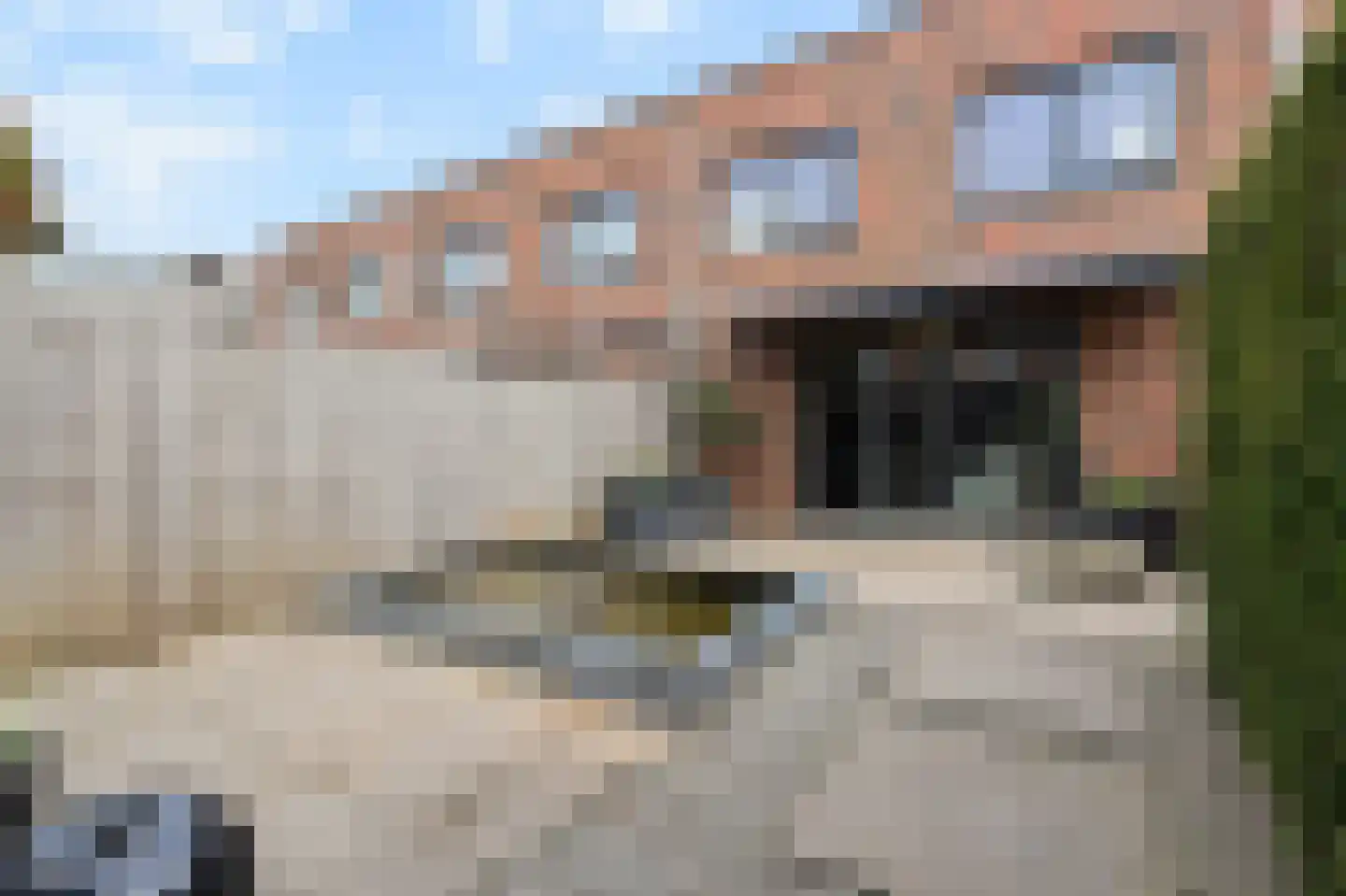 Ter Lips 50 Voorschoten thumbnail 21