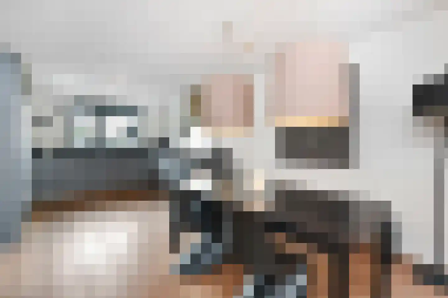 Ter Lips 50 Voorschoten thumbnail 6