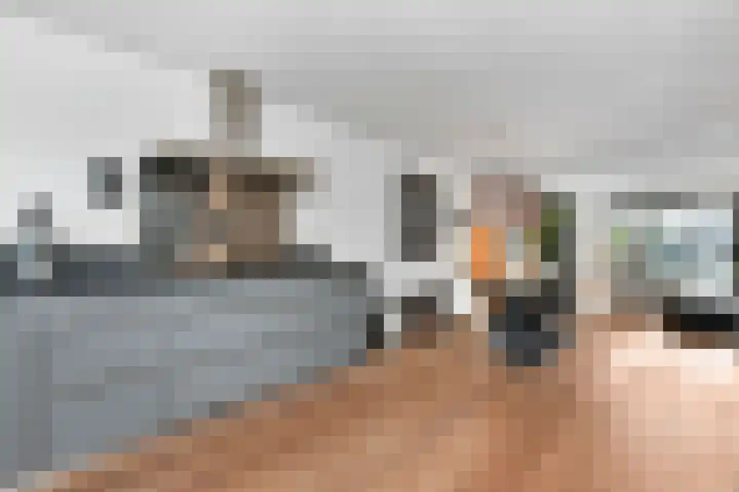 Ter Lips 50 Voorschoten thumbnail 9