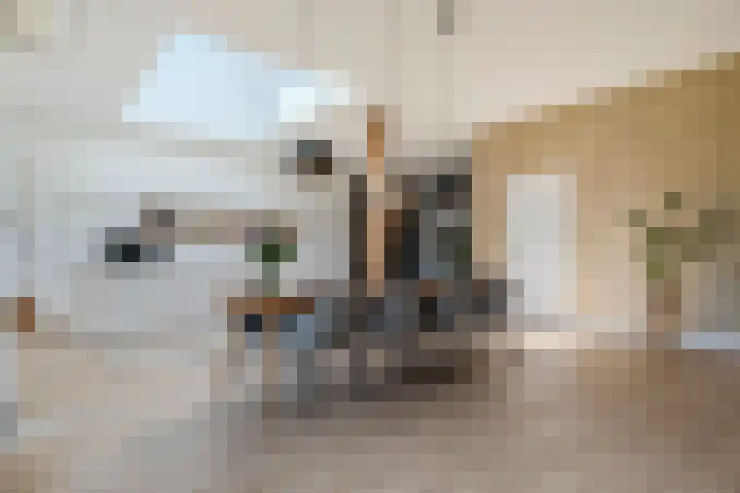 Ter Maars 2 Onstwedde thumbnail 15