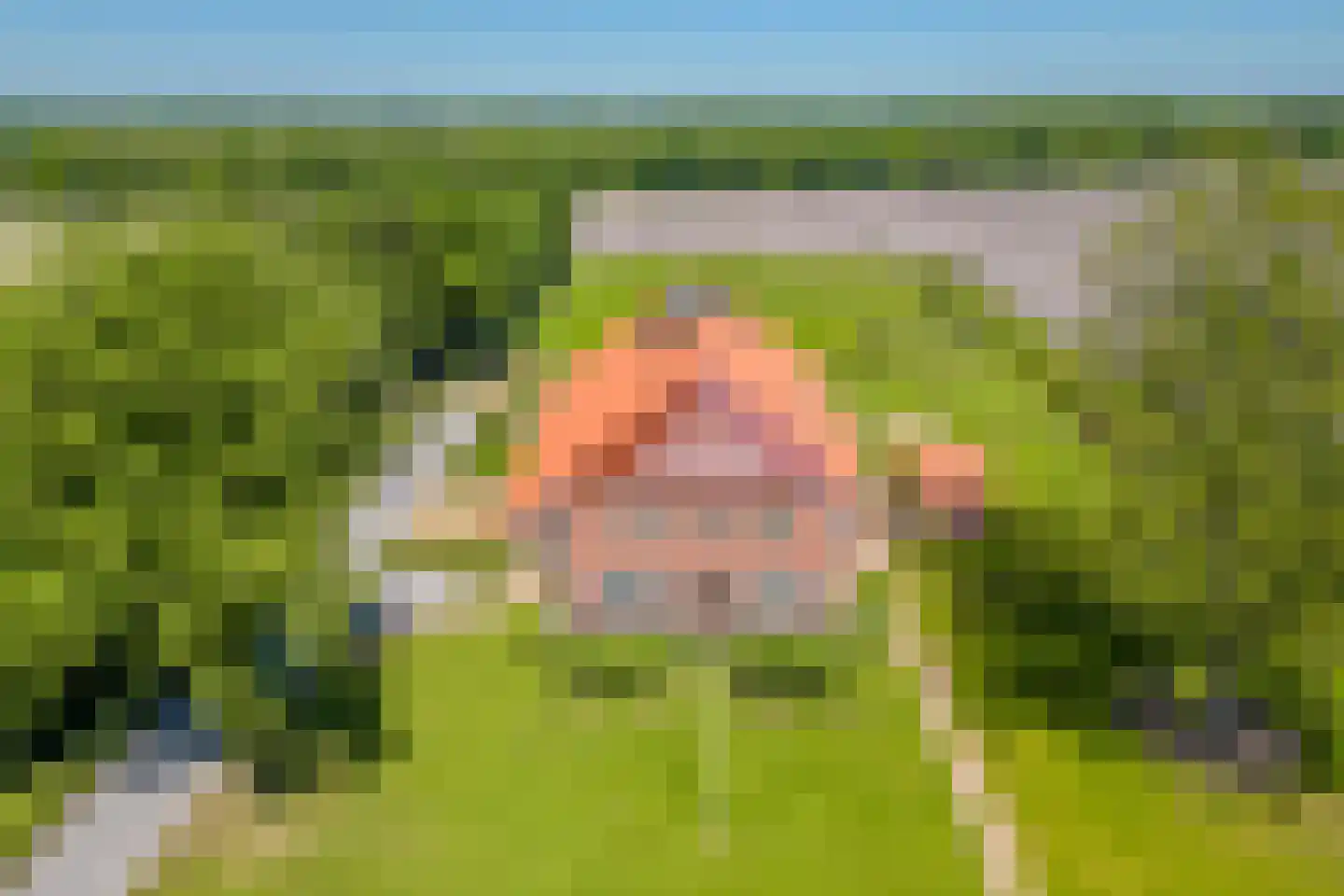 Ter Maars 2 Onstwedde thumbnail 4