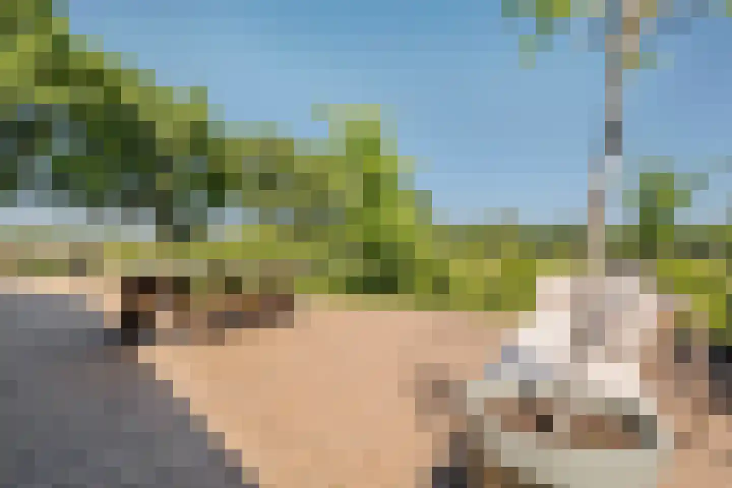 Ter Maars 2 Onstwedde thumbnail 64