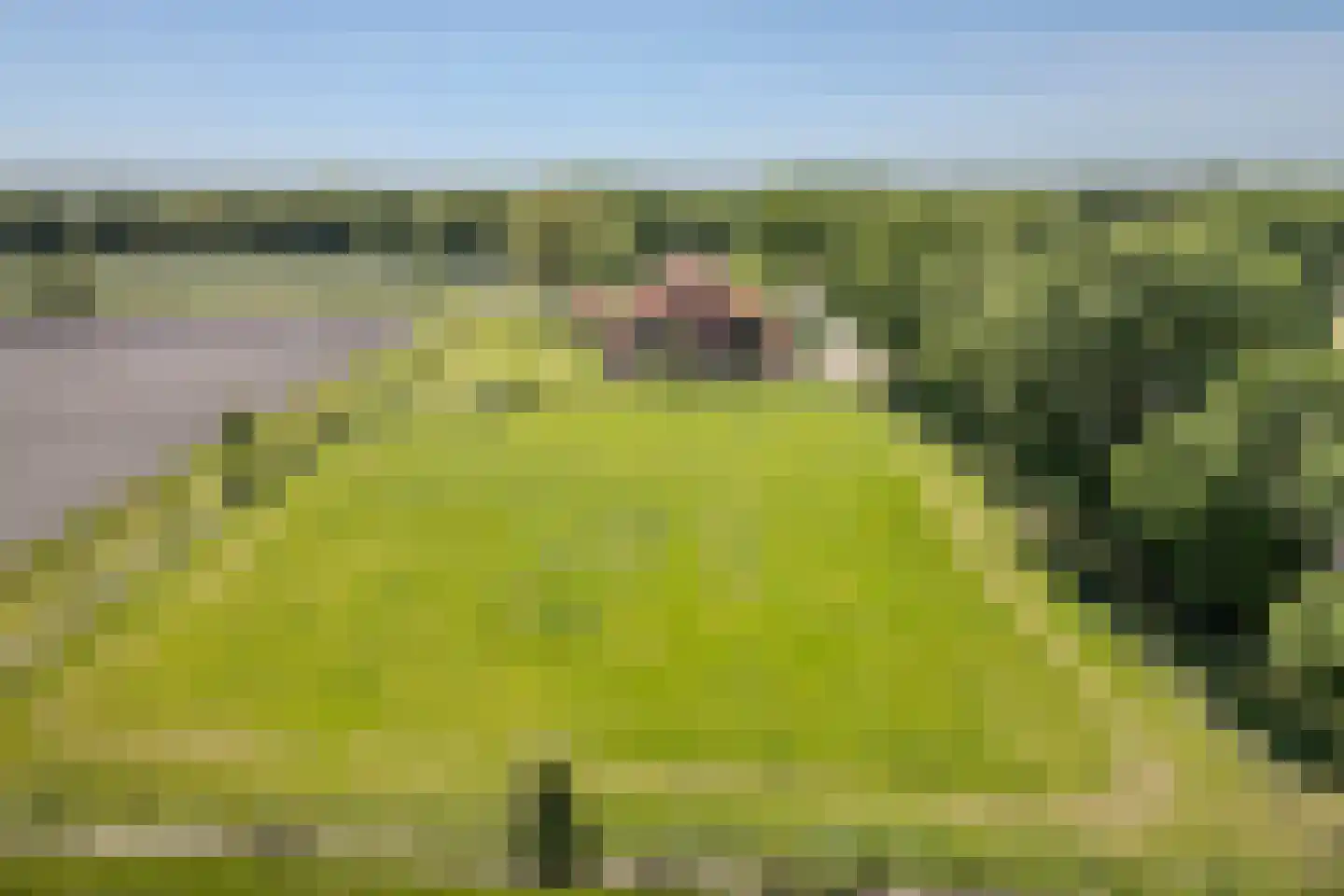 Ter Maars 2 Onstwedde thumbnail 67