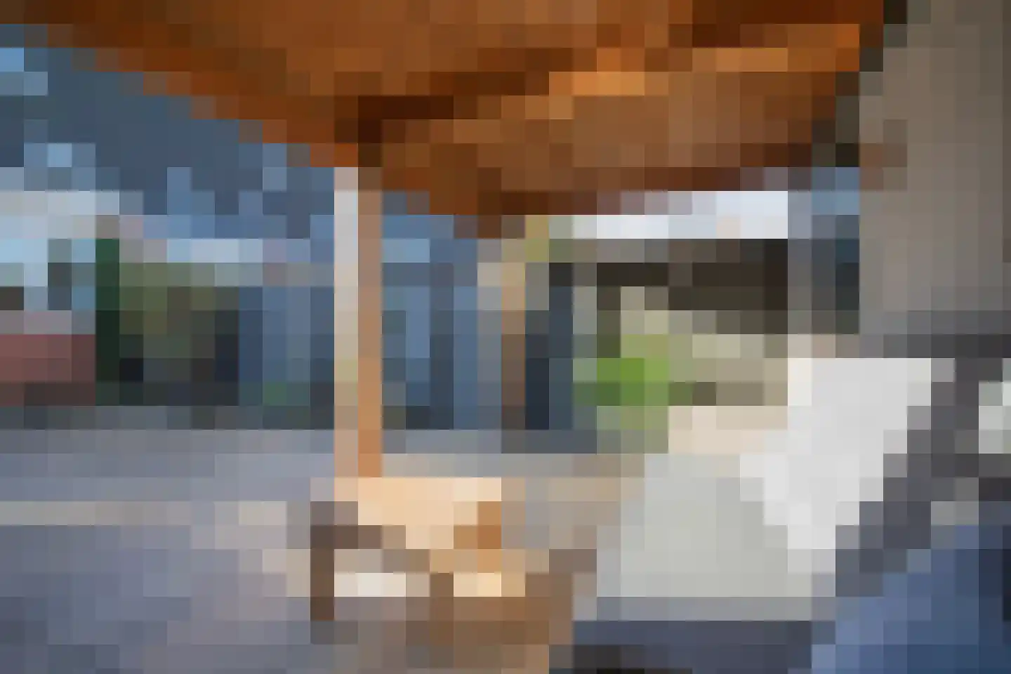 Ter Maatenlaan 15 Woudenberg thumbnail 32
