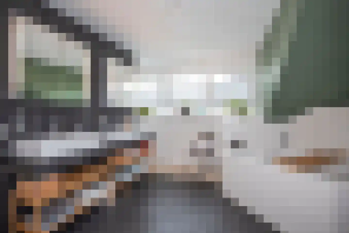 Ter Maatstraat 66 Rijssen thumbnail 20