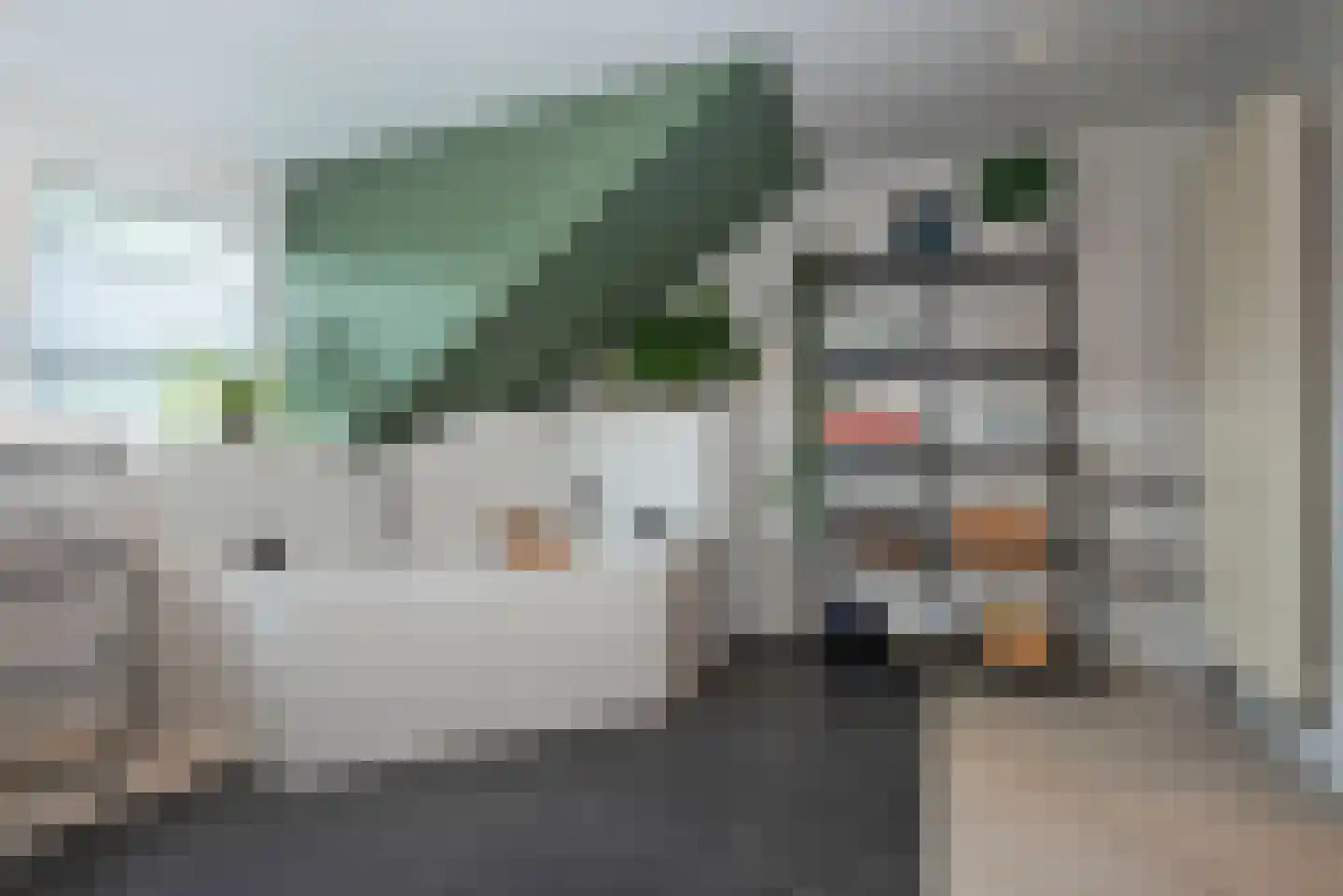 Ter Maatstraat 66 Rijssen thumbnail 22