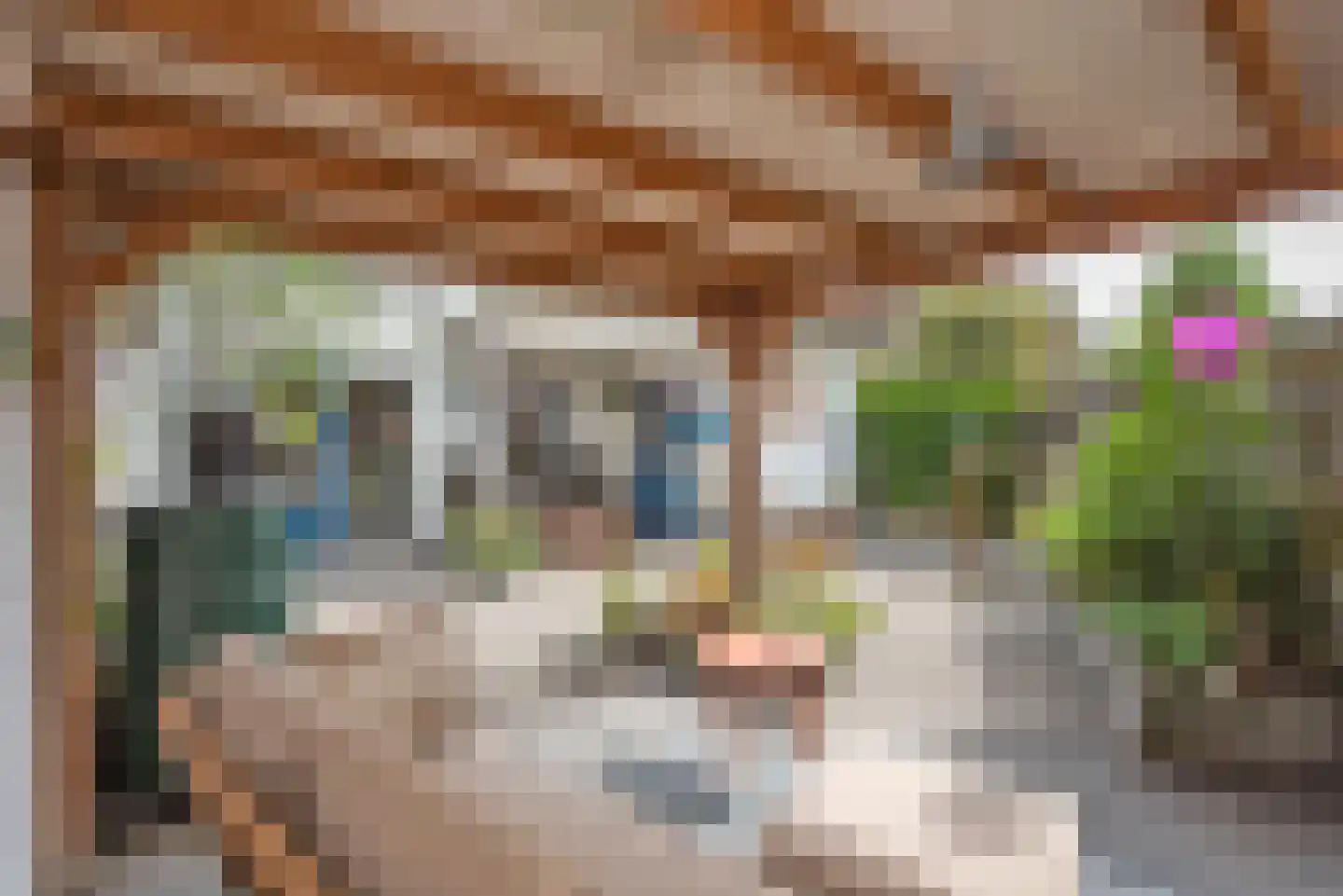 Ter Maatstraat 66 Rijssen thumbnail 30