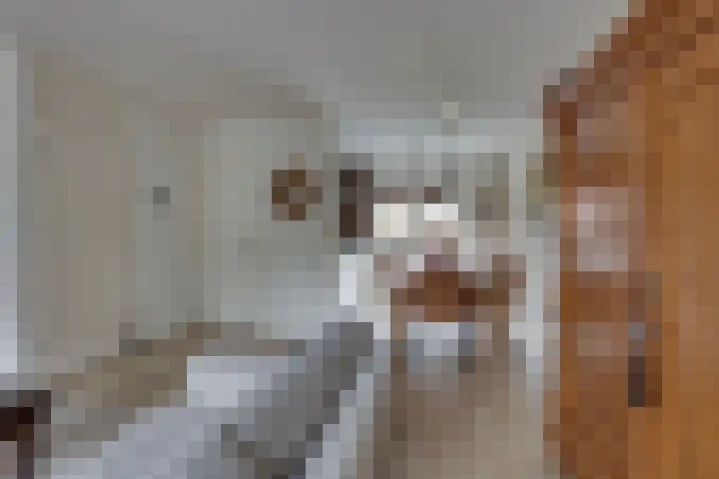 Ter Maatstraat 70 Rijssen thumbnail 13