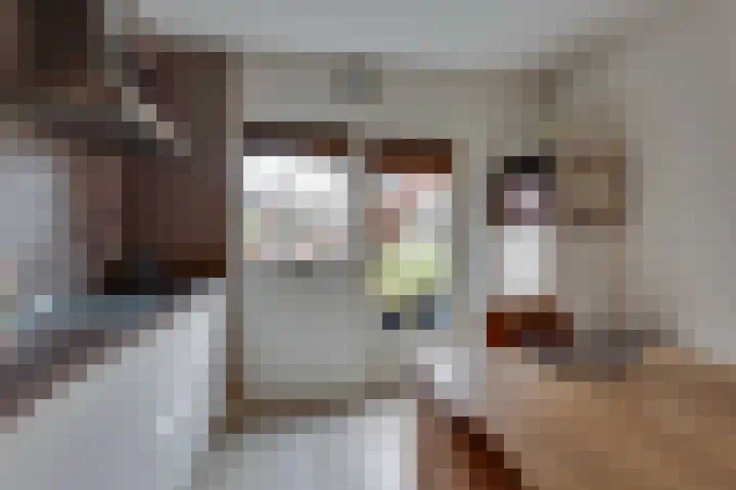 Ter Maatstraat 70 Rijssen thumbnail 16