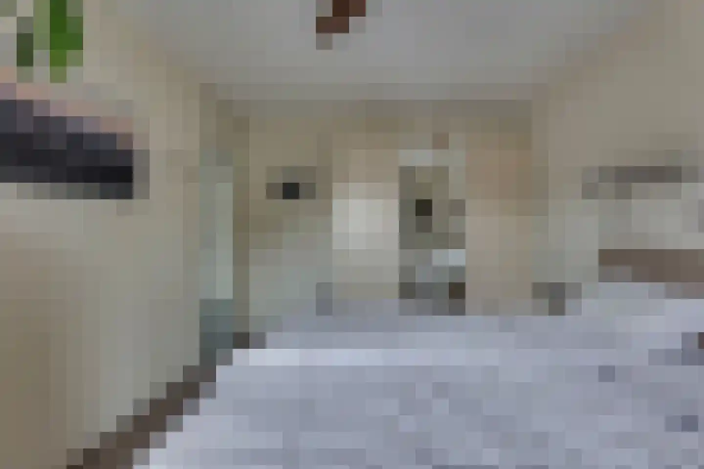 Ter Maatstraat 70 Rijssen thumbnail 20