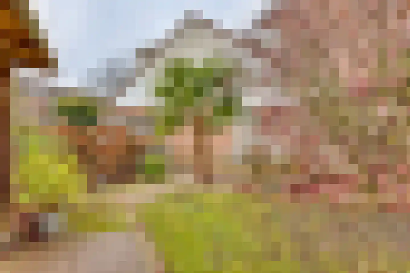 Ter Maatstraat 70 Rijssen thumbnail 31