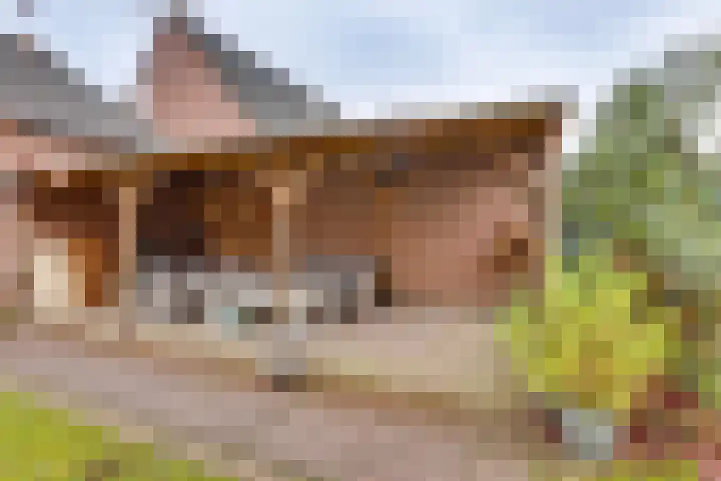 Ter Maatstraat 70 Rijssen thumbnail 32