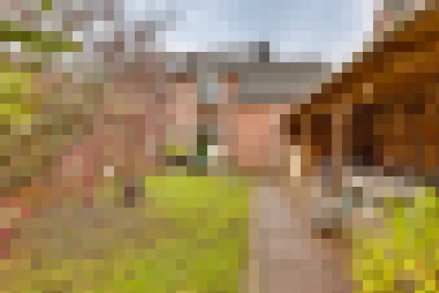 Ter Maatstraat 70 Rijssen thumbnail 33