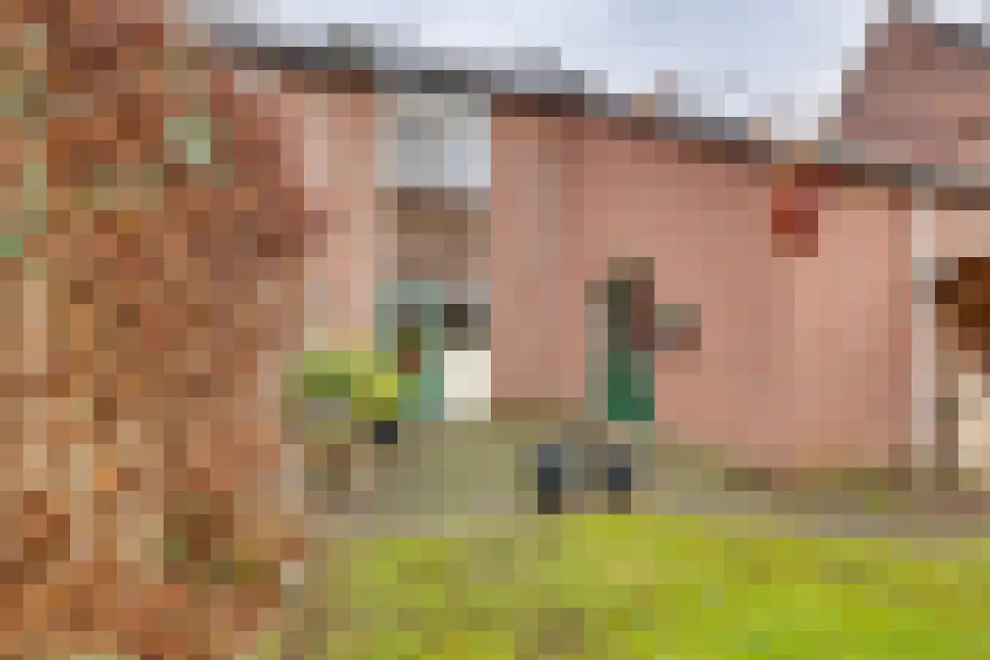 Ter Maatstraat 70 Rijssen thumbnail 34