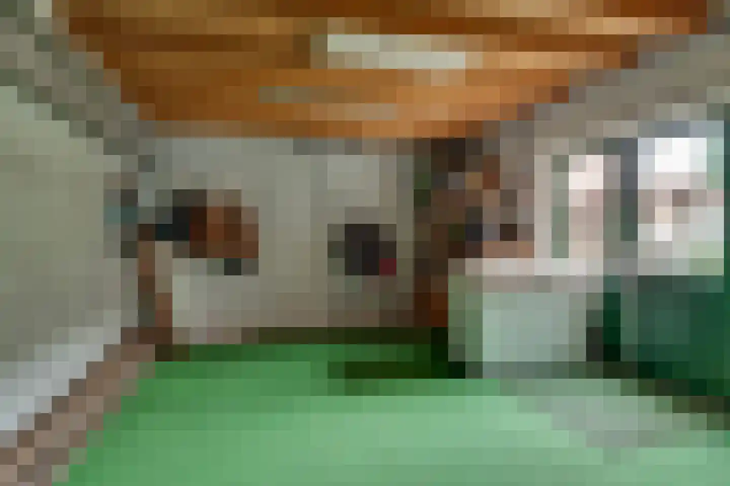 Ter Maatstraat 70 Rijssen thumbnail 36