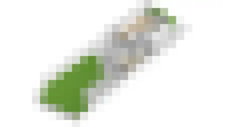 Ter Maatstraat 70 Rijssen thumbnail 48