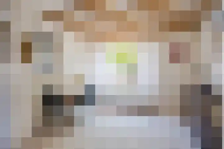 Ter Mehr 14 Nuenen thumbnail 11
