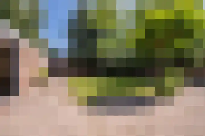 Ter Mehr 14 Nuenen thumbnail 18