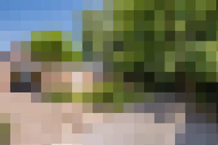 Ter Mehr 14 Nuenen thumbnail 19