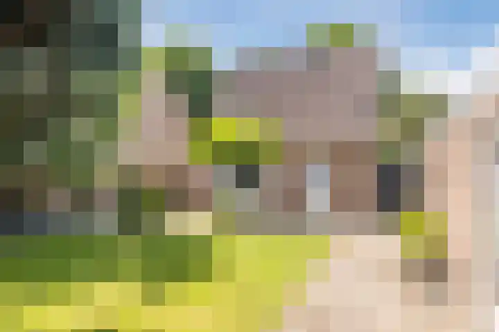 Ter Mehr 14 Nuenen thumbnail 21