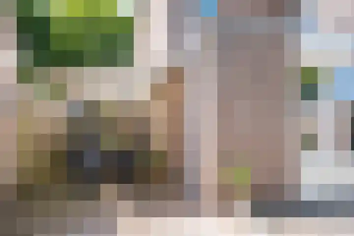 Ter Mehr 14 Nuenen thumbnail 22