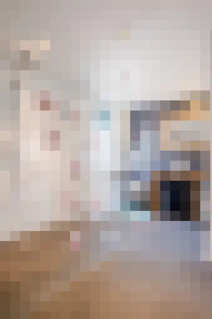 Ter Mehr 14 Nuenen thumbnail 30