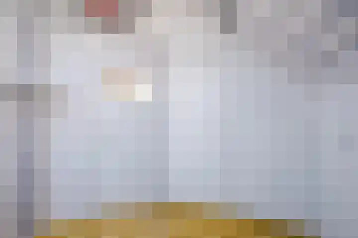 Ter Mehr 14 Nuenen thumbnail 36
