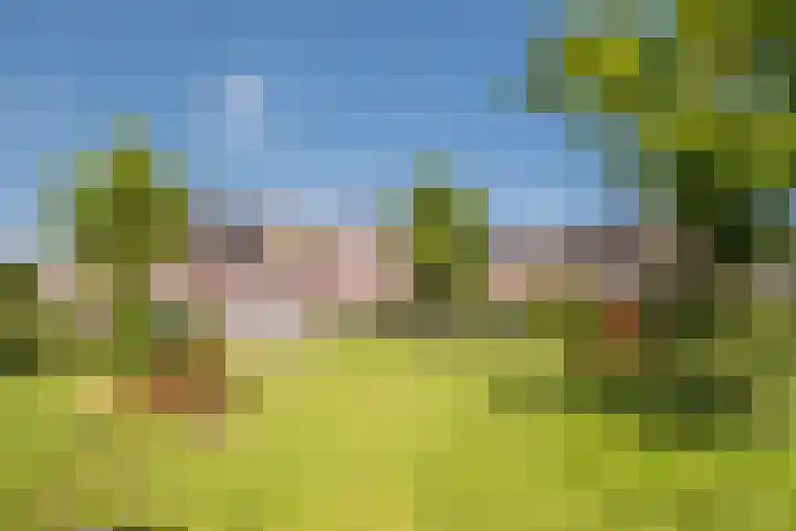 Ter Mehr 14 Nuenen thumbnail 4