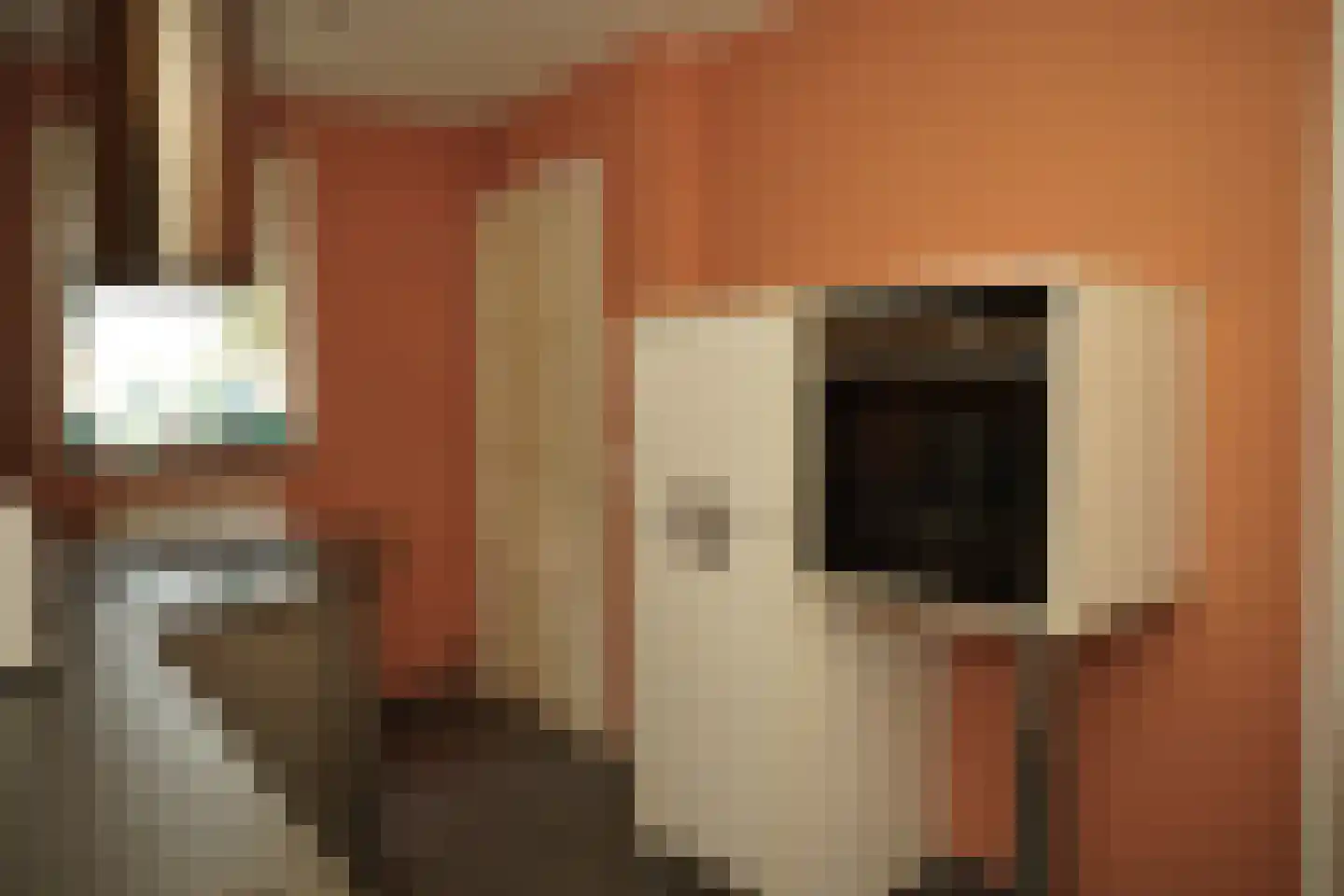 Ter Moere 4 Nieuwvliet thumbnail 13