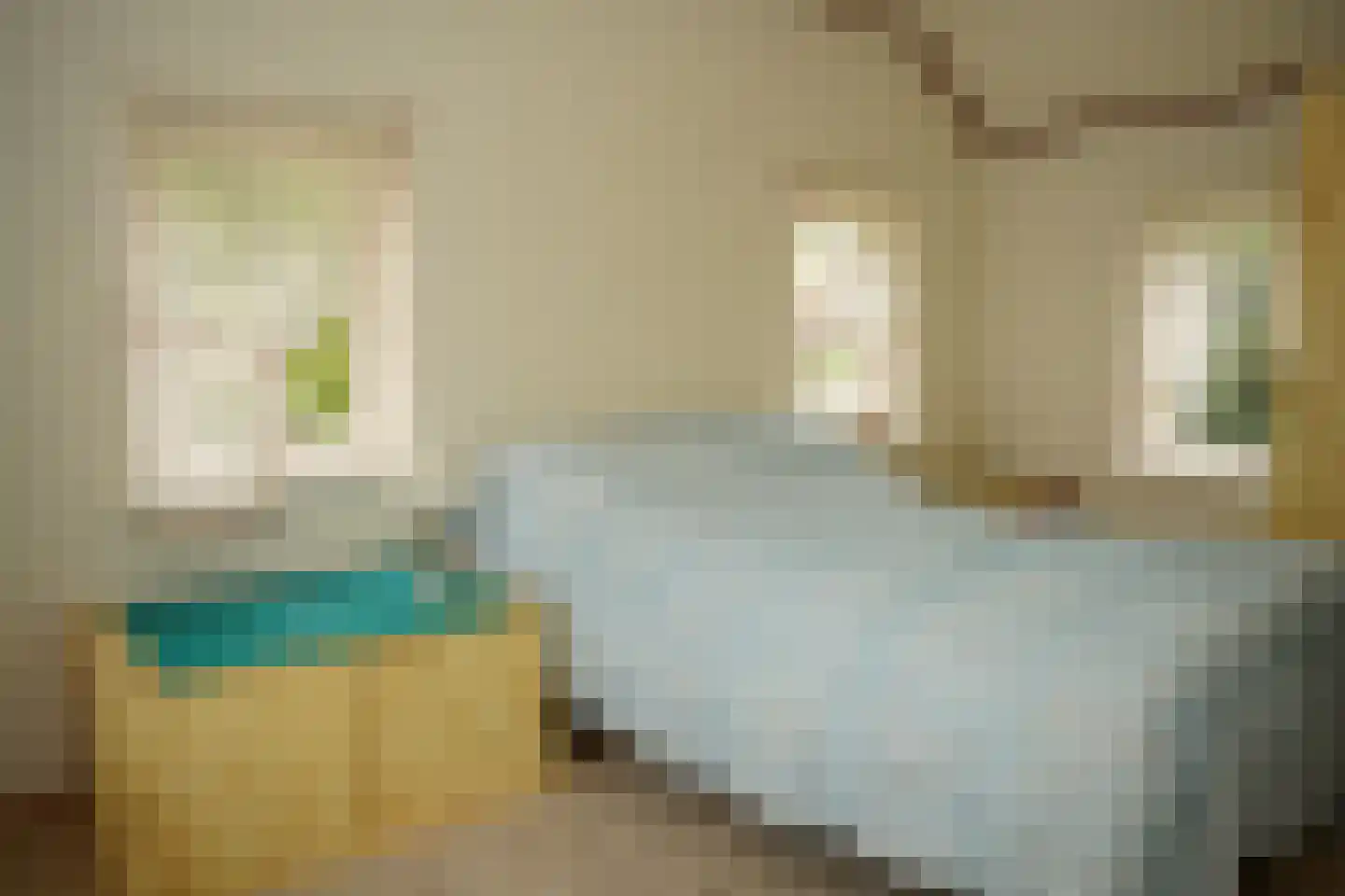 Ter Moere 4 Nieuwvliet thumbnail 18